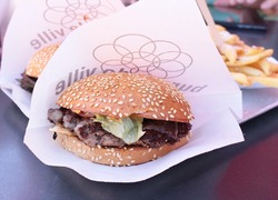 Normal_burger-957227_960_720